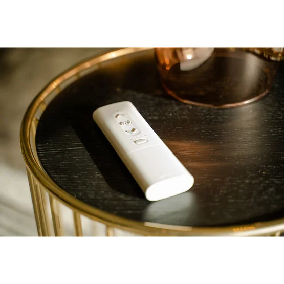 SOMFY Ysia Zigbee 1-Channel Remote