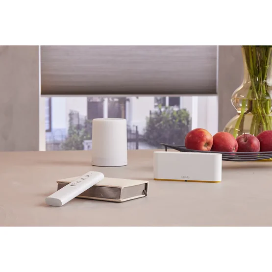 SOMFY Ysia Zigbee 5-Channel Remote
